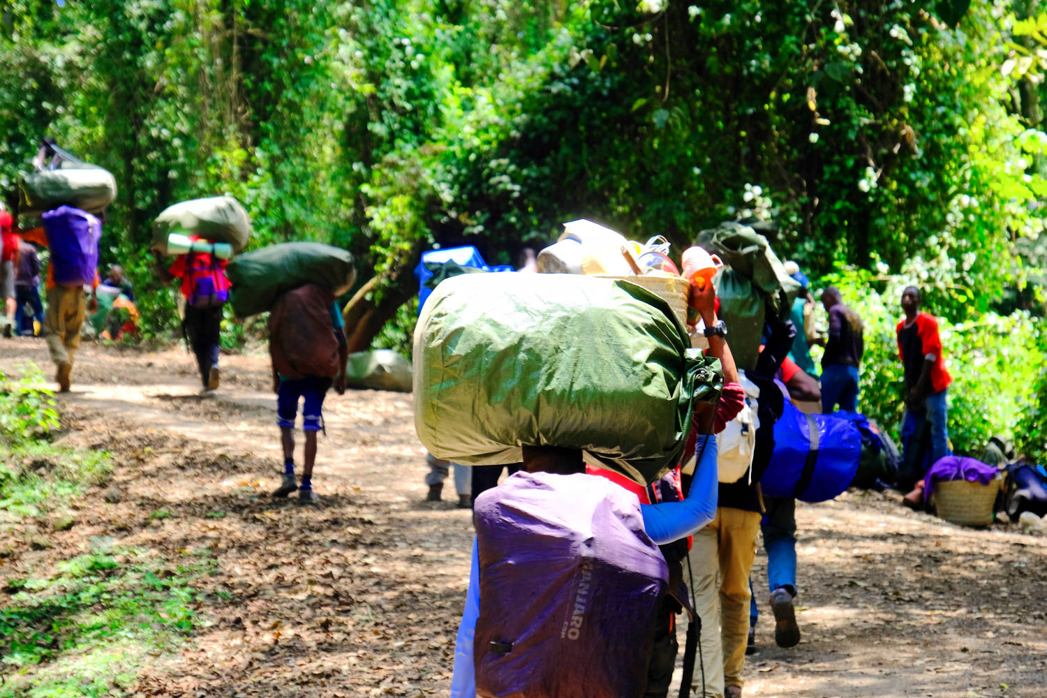 Träger auf dem Weg zum Machame Camp